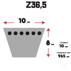 COURROIE TONDEUSE Z36,5...