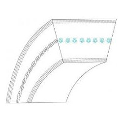 COURROIE TRAPEZOIDALE MTD...